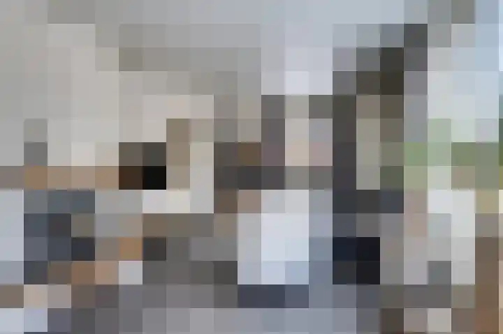 Bosschenhoofdseweg 8 Zegge thumbnail 16