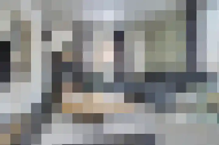 Bosschenhoofdseweg 8 Zegge thumbnail 17