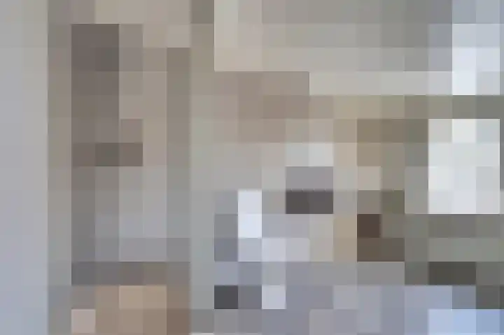 Bosschenhoofdseweg 8 Zegge thumbnail 32