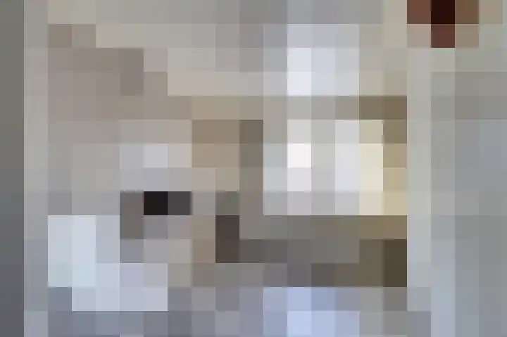 Bosschenhoofdseweg 8 Zegge thumbnail 33