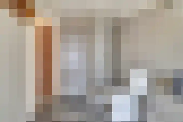 Bosschenhoofdseweg 8 Zegge thumbnail 34