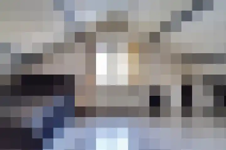 Bosschenhoofdseweg 8 Zegge thumbnail 35
