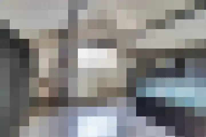 Bosschenhoofdseweg 8 Zegge thumbnail 38