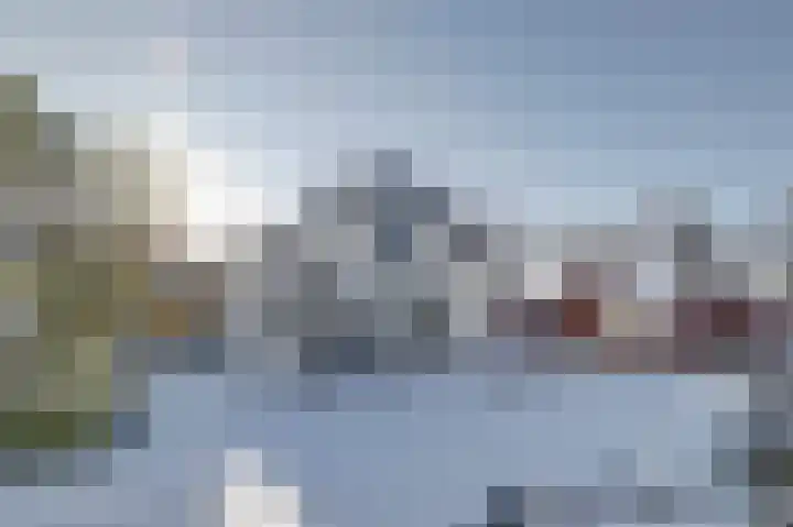 Bosschenhoofdseweg 8 Zegge thumbnail 41