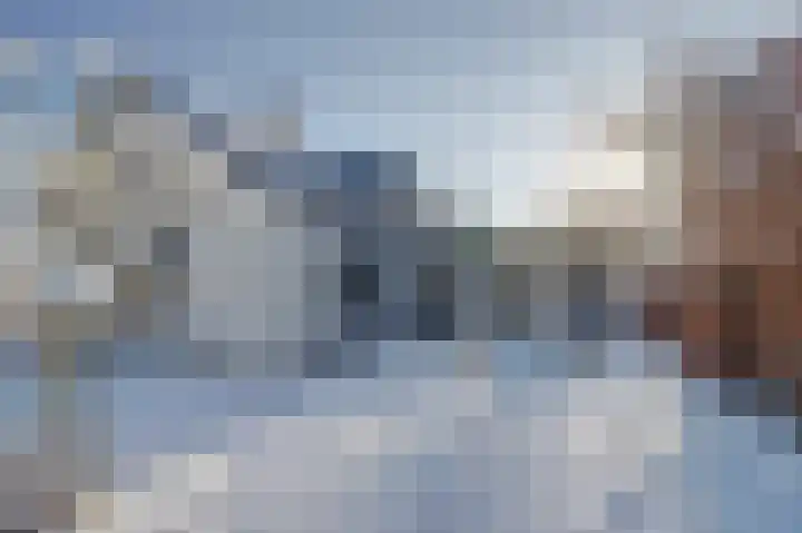 Bosschenhoofdseweg 8 Zegge thumbnail 42