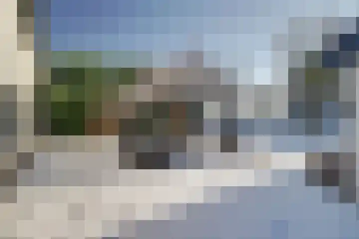 Bosschenhoofdseweg 8 Zegge thumbnail 43