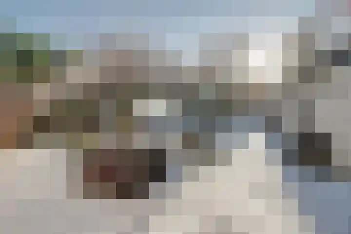 Bosschenhoofdseweg 8 Zegge thumbnail 44