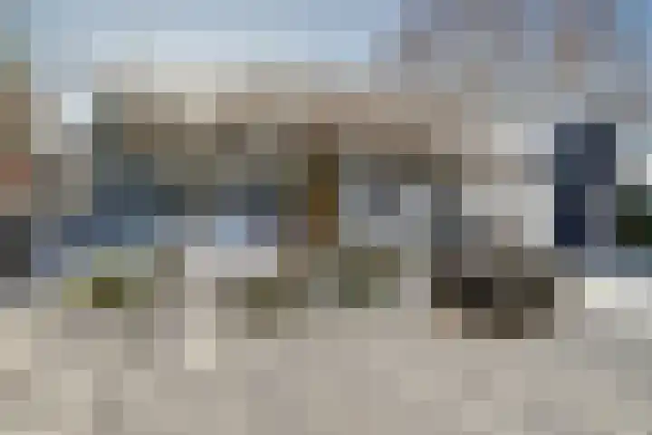 Bosschenhoofdseweg 8 Zegge thumbnail 45