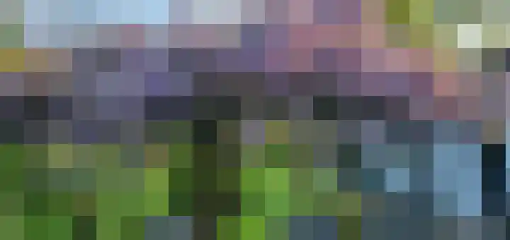 Bosschenhoofdseweg 8 Zegge thumbnail 46