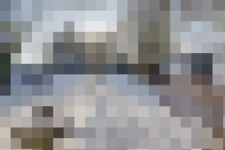 Bosschenhoofdseweg 8 Zegge thumbnail 47