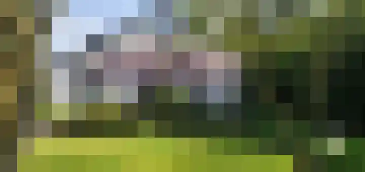 Bosschenhoofdseweg 8 Zegge thumbnail 49
