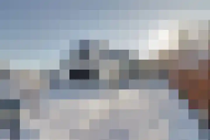 Bosschenhoofdseweg 8 Zegge thumbnail 5