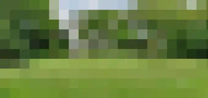 Bosschenhoofdseweg 8 Zegge thumbnail 50