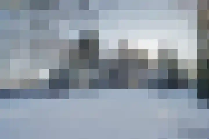 Bosschenhoofdseweg 8 Zegge thumbnail 52