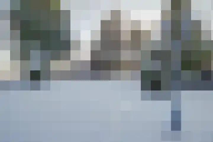 Bosschenhoofdseweg 8 Zegge thumbnail 53