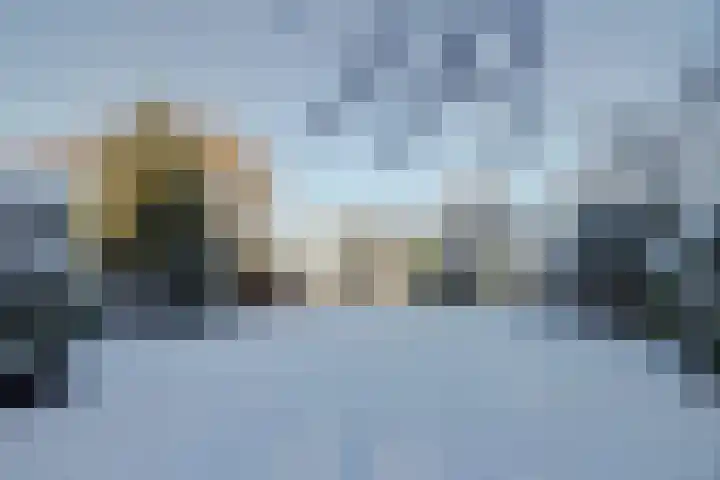Bosschenhoofdseweg 8 Zegge thumbnail 55