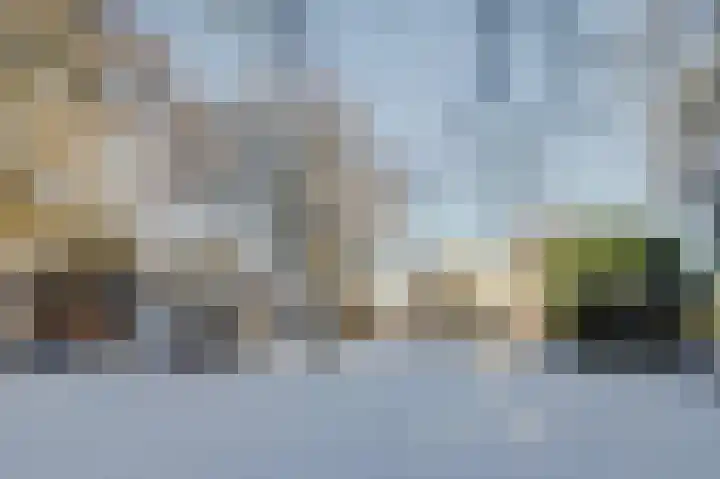Bosschenhoofdseweg 8 Zegge thumbnail 57