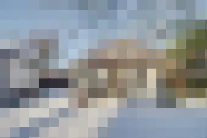 Bosschenhoofdseweg 8 Zegge thumbnail 60