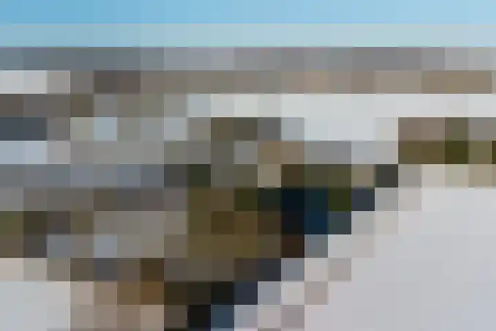 Bosschenhoofdseweg 8 Zegge thumbnail 66