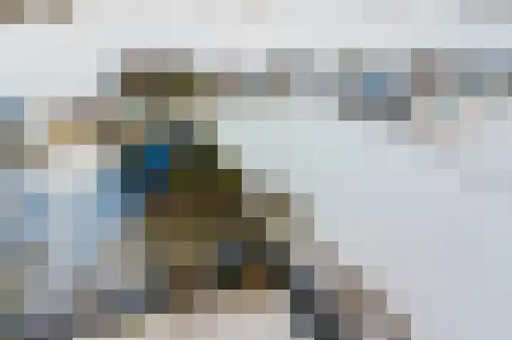 Bosschenhoofdseweg 8 Zegge thumbnail 67