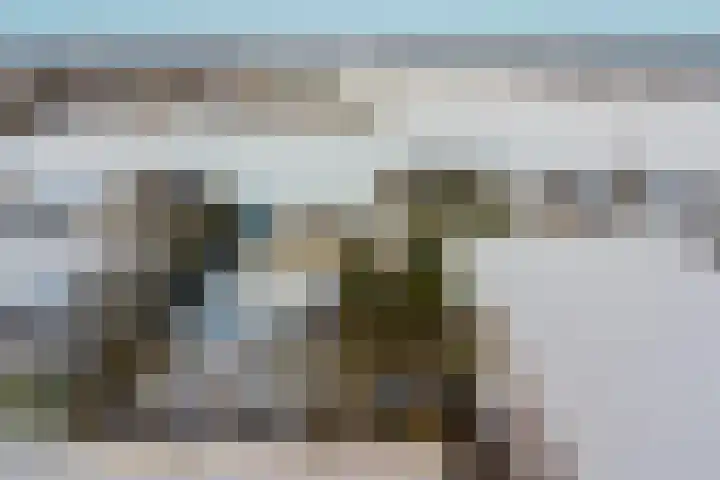 Bosschenhoofdseweg 8 Zegge thumbnail 68