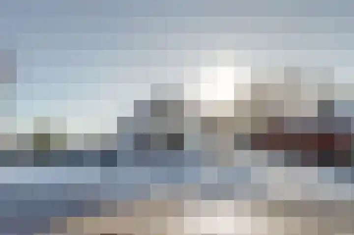 Bosschenhoofdseweg 8 Zegge thumbnail 7