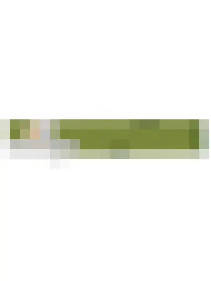 Bosschenhoofdseweg 8 Zegge thumbnail 71