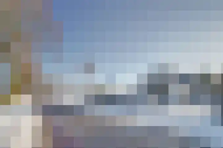 Bosschenhoofdseweg 8 Zegge thumbnail 8