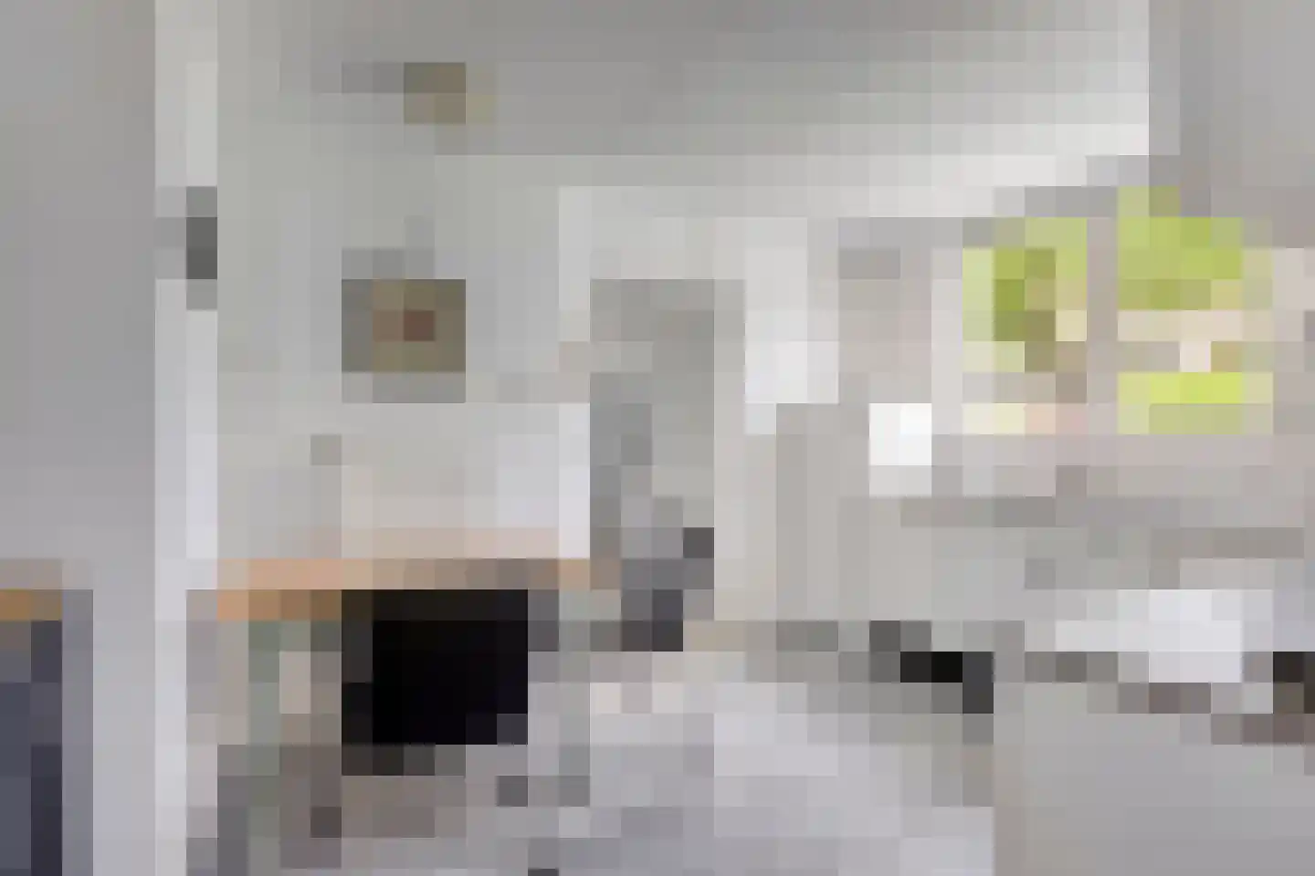 Bosschepad 5 Oss thumbnail 11