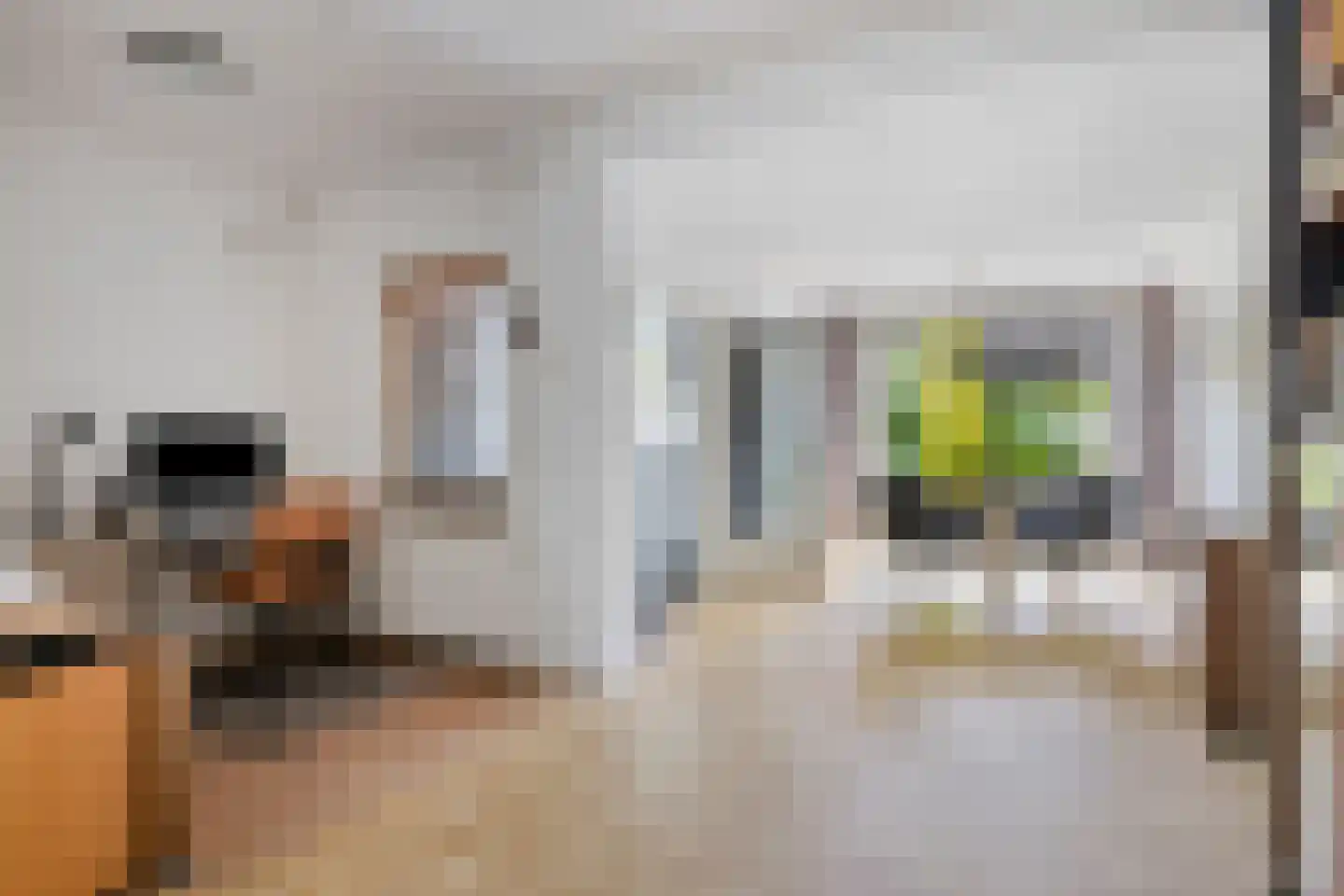 Bosschepad 5 Oss thumbnail 12