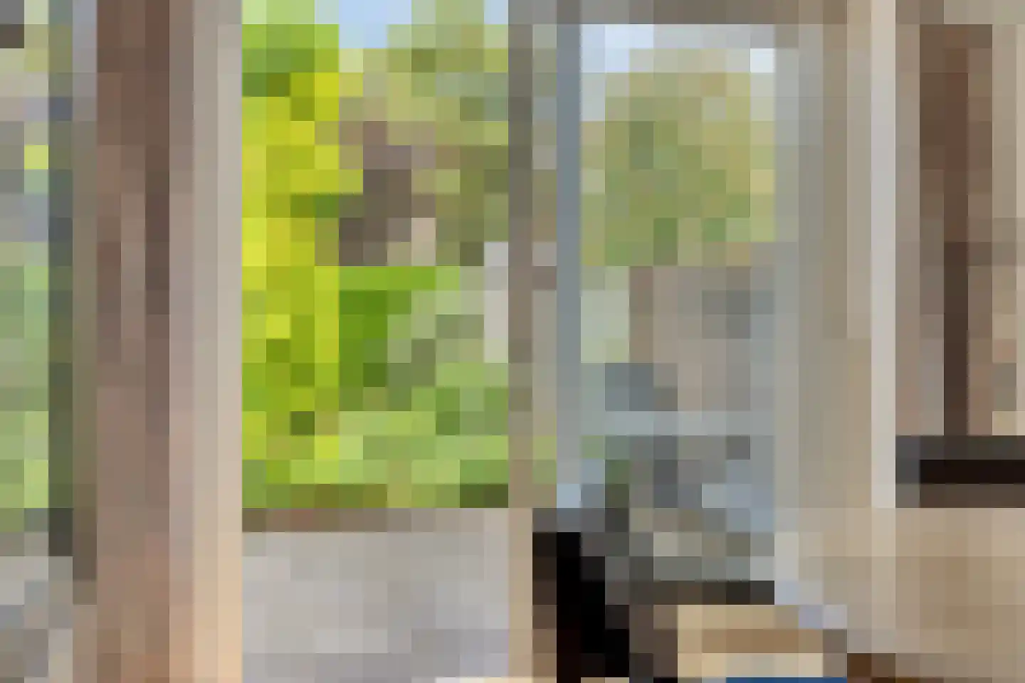 Bosschepad 5 Oss thumbnail 14