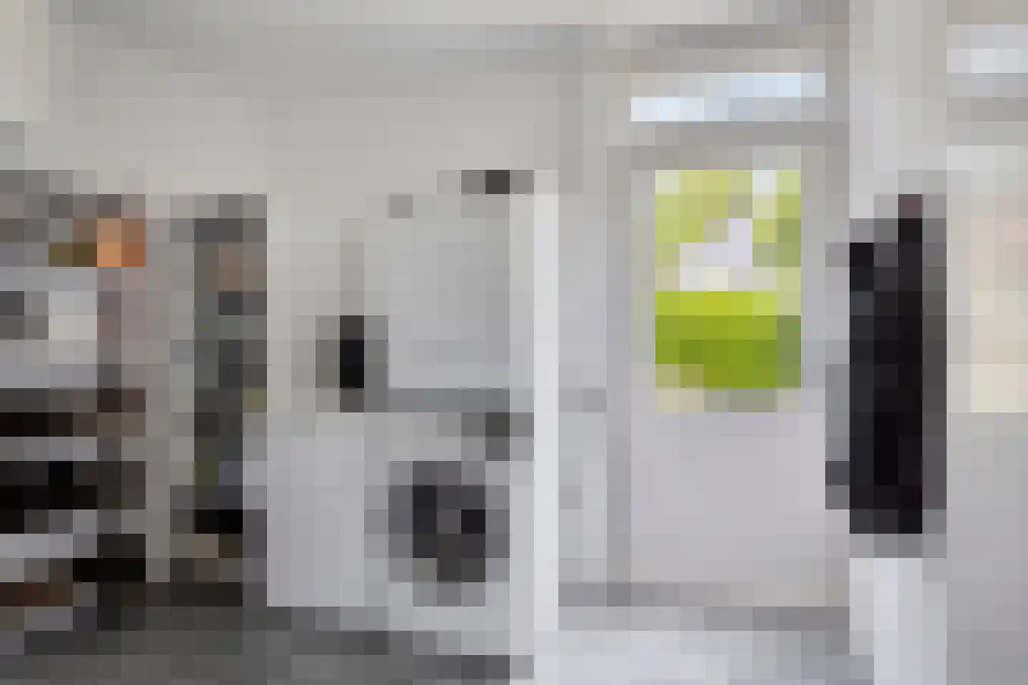 Bosschepad 5 Oss thumbnail 16