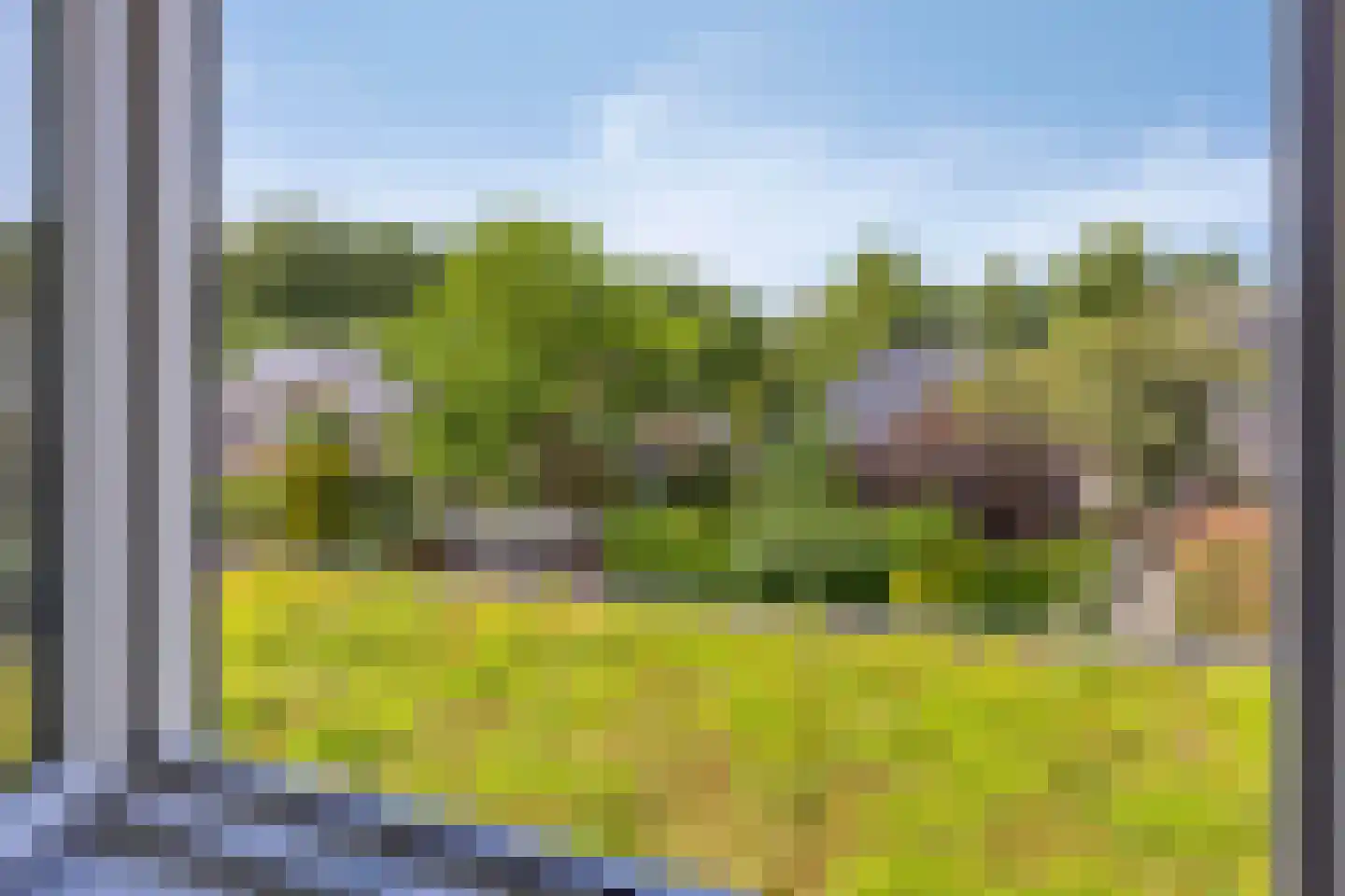 Bosschepad 5 Oss thumbnail 21
