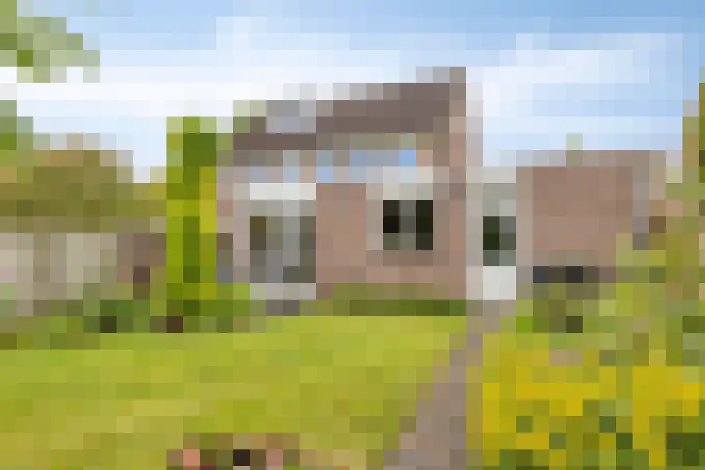 Bosschepad 5 Oss thumbnail 33