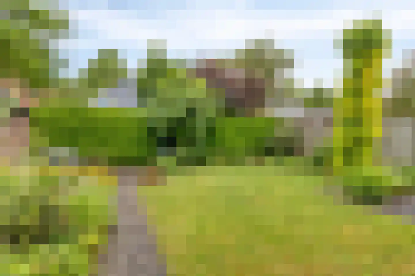 Bosschepad 5 Oss thumbnail 34