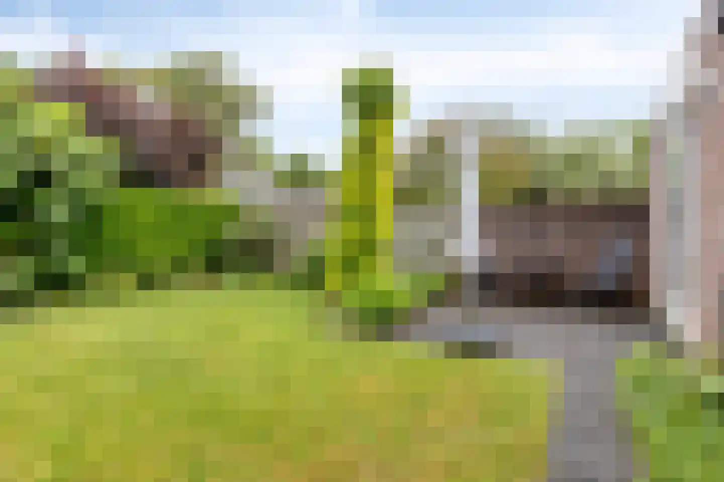 Bosschepad 5 Oss thumbnail 36