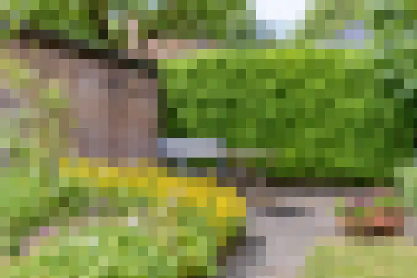 Bosschepad 5 Oss thumbnail 37