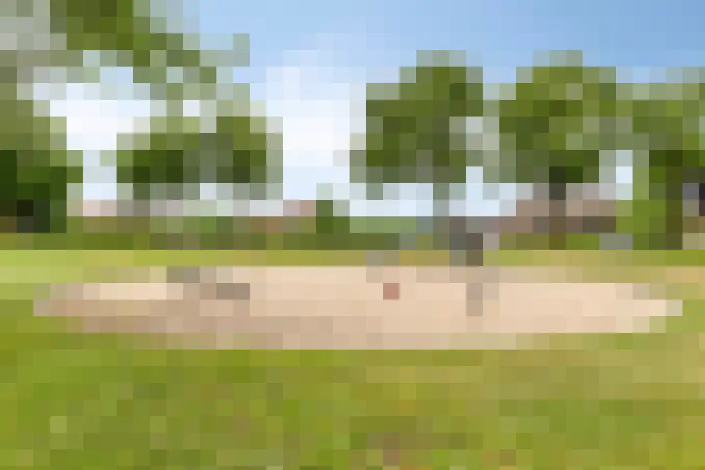 Bosschepad 5 Oss thumbnail 41