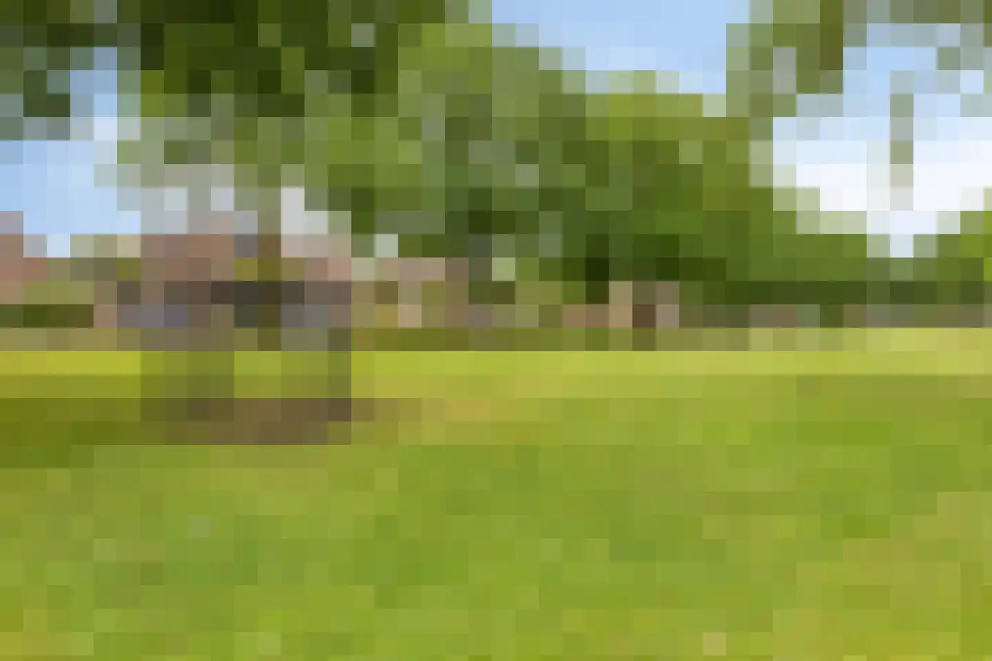 Bosschepad 5 Oss thumbnail 42