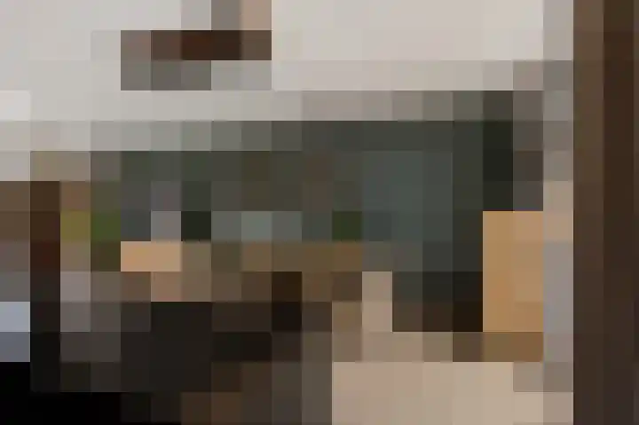 Bosscher-ven 20 Horn thumbnail 12