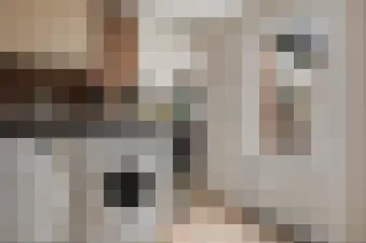Bosscher-ven 20 Horn thumbnail 14