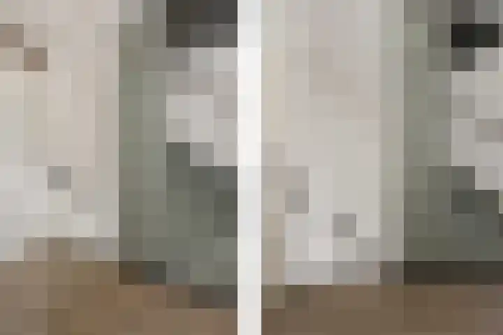 Bosscher-ven 20 Horn thumbnail 16