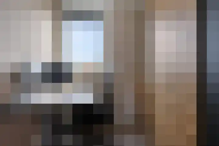 Bosscher-ven 20 Horn thumbnail 17