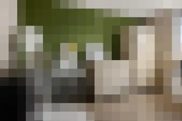 Bosscher-ven 20 Horn thumbnail 18