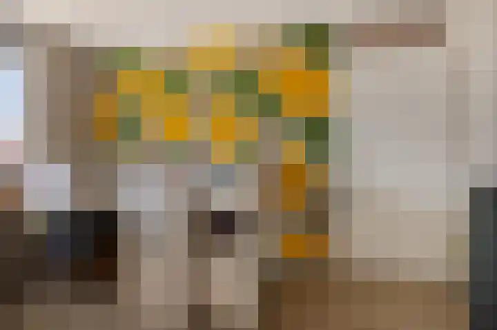 Bosscher-ven 20 Horn thumbnail 20