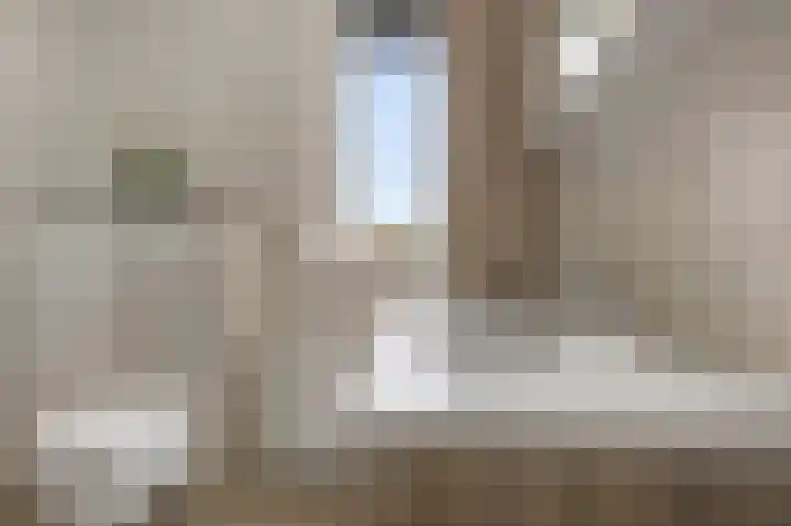 Bosscher-ven 20 Horn thumbnail 25