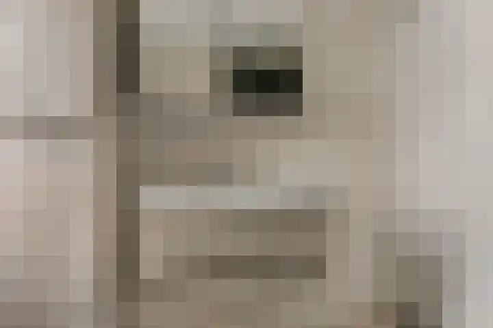 Bosscher-ven 20 Horn thumbnail 27