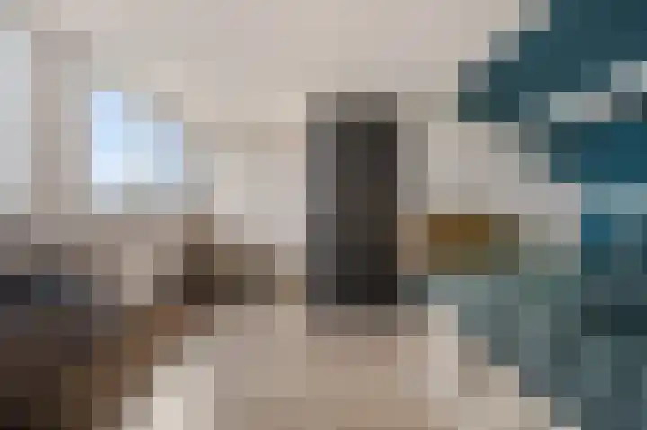 Bosscher-ven 20 Horn thumbnail 30