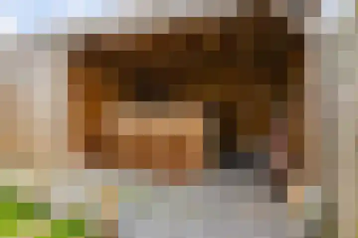 Bosscher-ven 20 Horn thumbnail 33