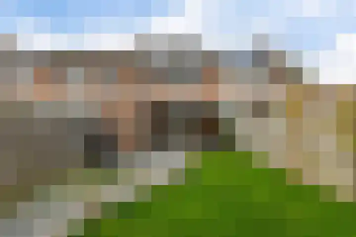 Bosscher-ven 20 Horn thumbnail 34
